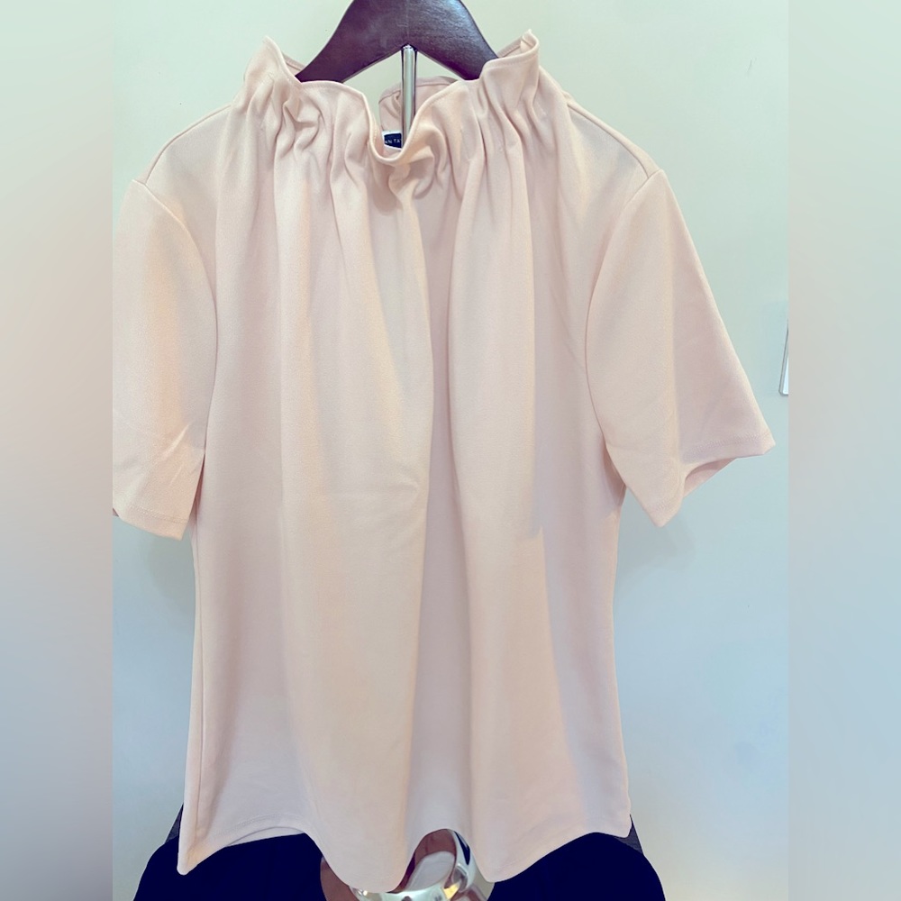 COPY - Ann Taylor Top in pale pink